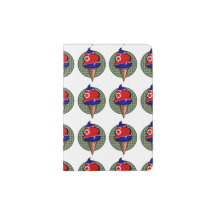 Funny North Korean flag ice cream