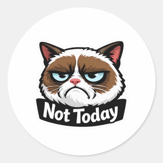  Funny "Not Today" Grumpy Cat Face Sticker (Front)
