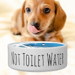 Funny Not Toilet Water Pet Dish Ceramic Dog Bowl<br><div class="desc">Add a little humour to your pets feeding time with this funny "Not Toilet Water" Dog Bowl . Simple Design.
Coordinates perfect with our 'Not Deer Poop' water bowl . Funny Not Toilet Water Pet Dish Ceramic Dog Bowl</div>