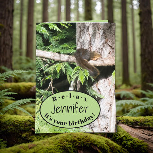 Funny Nuts Animal Squirrel Naps in Tree Birthday Card