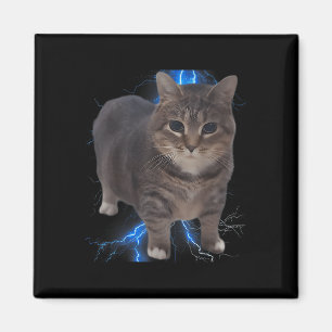 Funny Oiia Oiia Spinning Cat Meme Cat Brainrot  Magnet