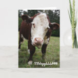 Funny Old Fart Cow Birthday Card<br><div class="desc">This white faced brown hereford beef steer sticks his big slobbery tongue out at you. Captured in a close up colour photograph. with the written version of "blowing a raspberry" on the front, and a sarcastic older and wiser comment on the inside. Customise any item with your own saying or...</div>