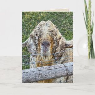 Funny Old Goat personalize for birthday or other. Card