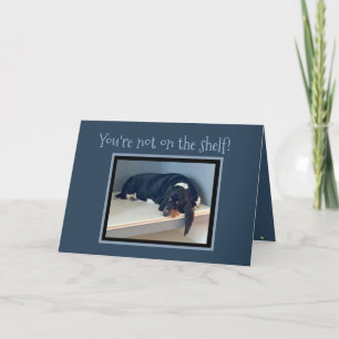 Funny "On The Shelf" Birthday w/Celebrating Basset Card