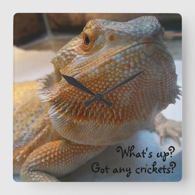 Funny Orange Bearded Dragon Close Up Print Square Wall Clock (Front)