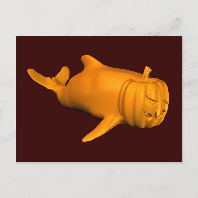 Funny Orcinus orca Postcard (Front)