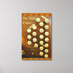 Funny organ canvas print