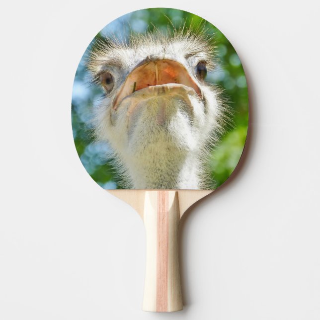 Funny Ostrich Animal Photo Ping Pong Paddle (Front)