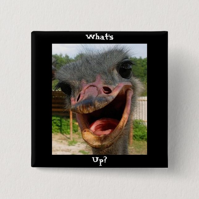 Funny Ostrich Bird Photo What's Up 15 Cm Square Badge (Front)
