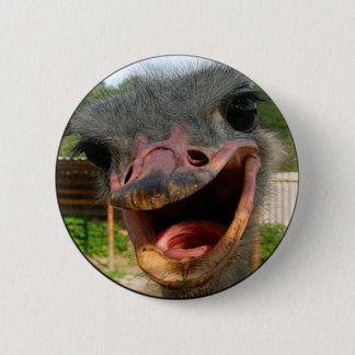 Funny Ostrich Bird Photo What's Up 6 Cm Round Badge