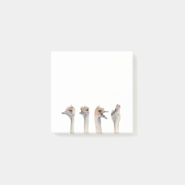 Funny Ostrich Birds Watercolor | Drama Queen Post-it Notes (Front)