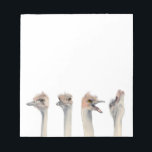 Funny Ostriches Watercolor Illustration Notepad<br><div class="desc">This is a painting of an ostrich I met at Como Zoo in St. Paul,  MN. He was really expressive and was a great subject to take pictures of. Later I painted his different expressions in watercolor.</div>