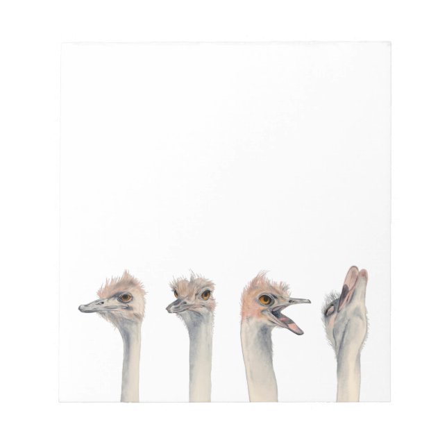 Funny Ostriches Watercolor Illustration Notepad (Front)