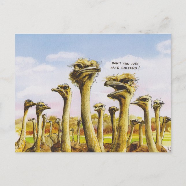 Funny Ostridge Postcard (Front)