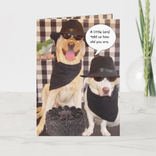 Funny Over the Hill Card