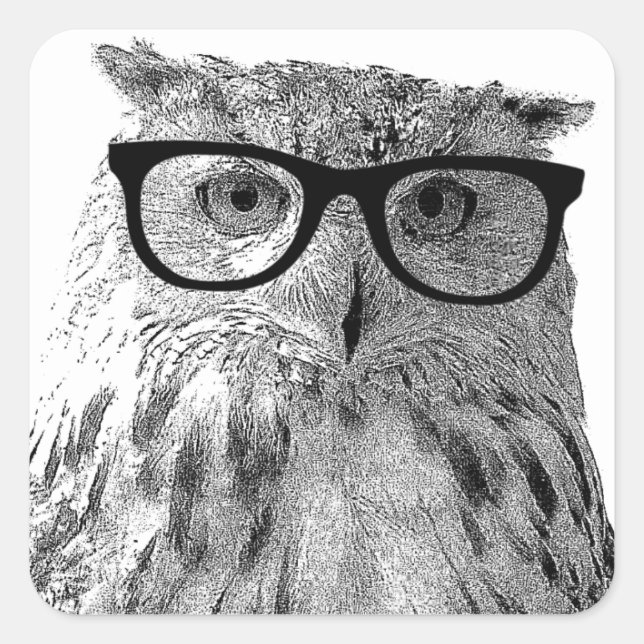 Funny owl stickers | Bird wearing glasses (Front)