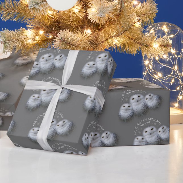 Funny Owl We Want for Christmas ... Snowy Owls Wrapping Paper (Holidays)