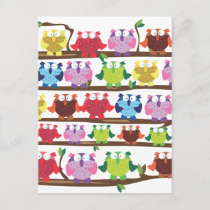 Funny Owls sitting on a branch pattern Postcard