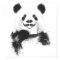 Funny panda