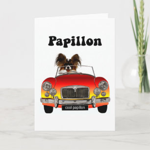 Funny Papillon Card