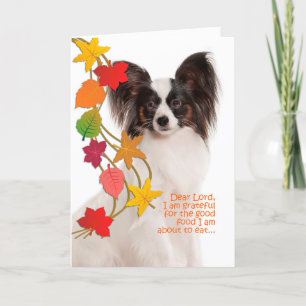 Funny Papillon Thanksgiving Card