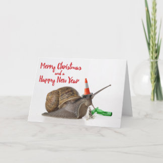 Funny Party Snail Christmas Card #3