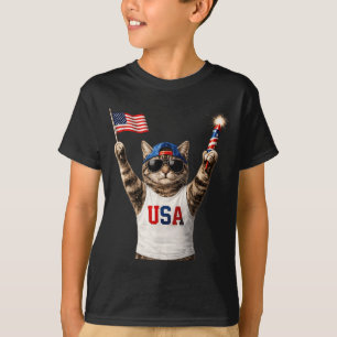 Funny Patriotic Cat Usa Flag Fireworks Aamerica T-Shirt