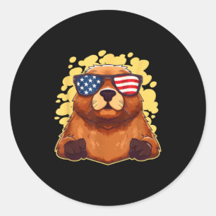 Funny Patriotic Groundhog American Flag 4th Of Jul Classic Round Sticker