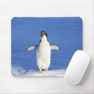 Funny penguin on ice mouse pad