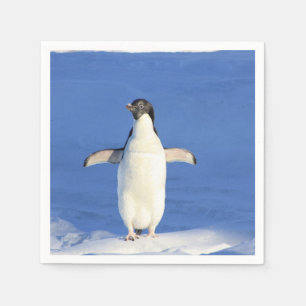 Funny penguin on ice napkin