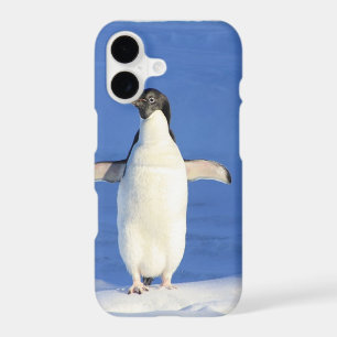 Funny penguin on ice photo