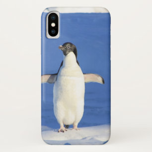 Funny penguin on ice photo Case-Mate iPhone case