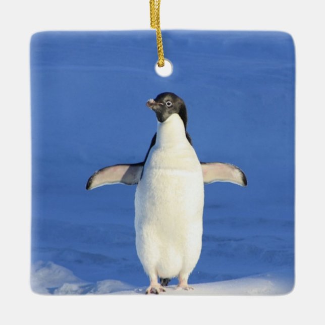 Funny penguin on ice photo ceramic ornament (Front)