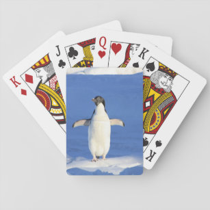 Funny penguin on ice photo playing cards