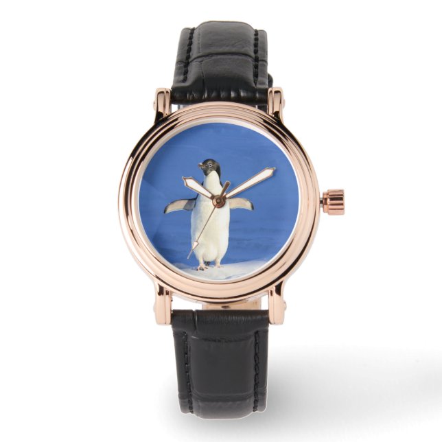 Funny penguin on ice photo watch (Front)