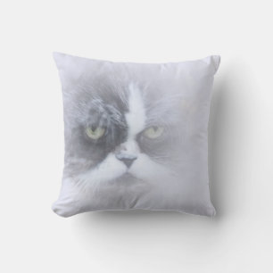 funny persian cat with big eyes cushion