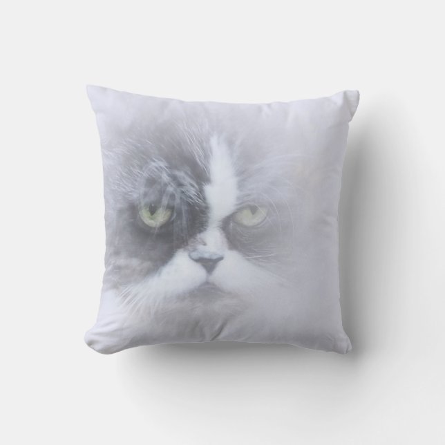 funny persian cat with big eyes cushion (Front)