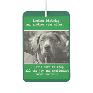 Funny Personalised Dog Photo Birthday    Car Air Freshener