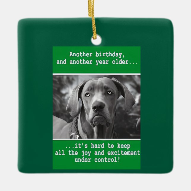 Funny Personalised Dog Photo Birthday    Ceramic Ornament (Front)
