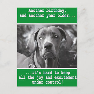 Funny Personalised Dog Photo Birthday Postcard