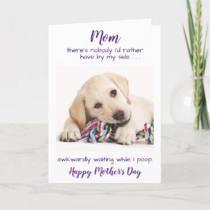 Funny Personalised Pet Photo Dog Mum Mothers Day Holiday Card