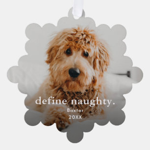 Funny Pet 2 Photo Christmas Holiday Tree Decoration Card