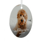 Funny Pet 2 Photo Christmas