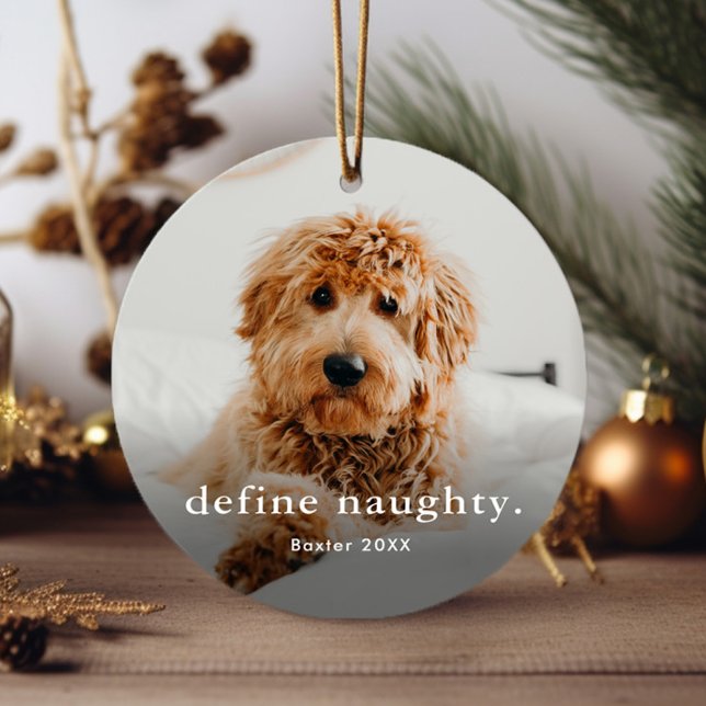 Funny Pet 2 Photo Christmas Metal Tree Decoration (Simple funny naughty pet Christmas tree holiday ornament.)