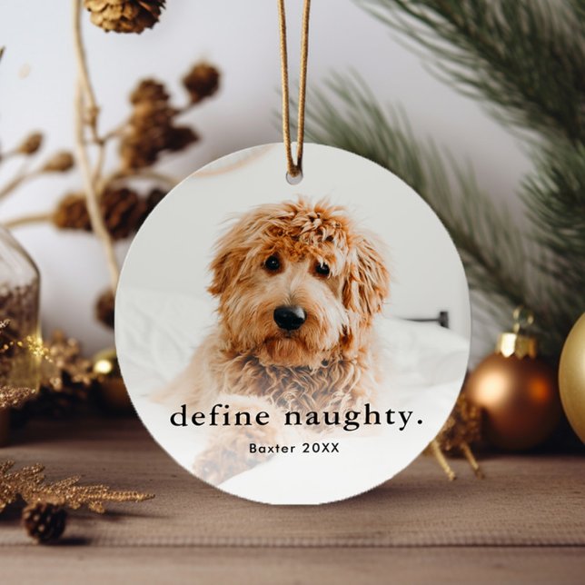 Funny Pet 2 Photo Christmas Metal Tree Decoration (Simple funny naughty pet Christmas tree holiday ornament.)