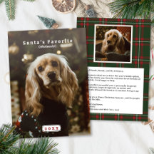Funny Pet Christmas Card Santa Favourite Photo Car
