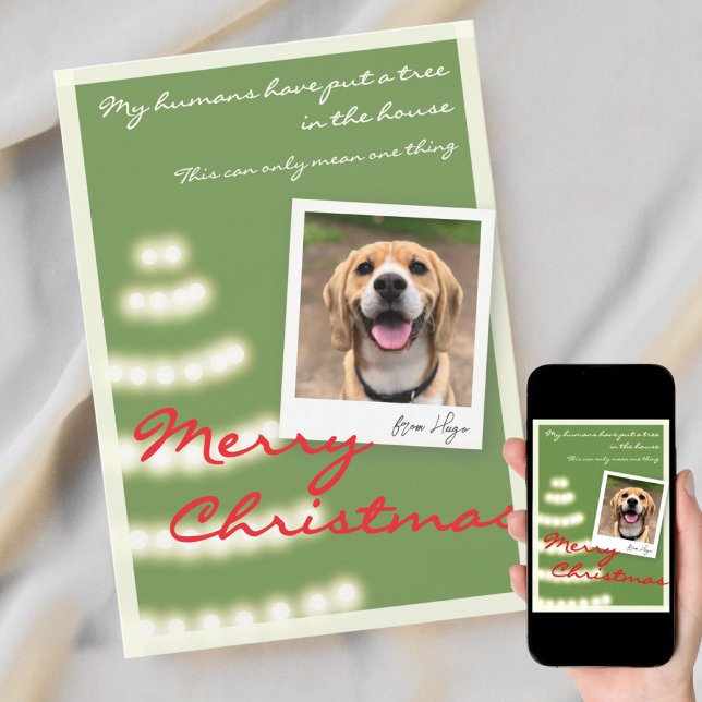 Funny Pet Christmas Photo Flat Holiday Card (Creator Uploaded)