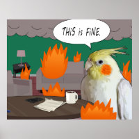 Funny Pet Cockatiel Quarantine This Is Fine Meme