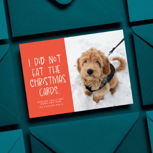 Funny pet coral peach New Year photo Holiday Card