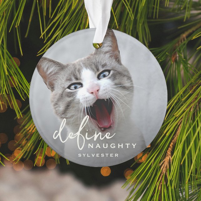Funny Pet Define Naughty Christmas Ornament (Creator Uploaded)